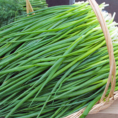 Лук на зелень Тотем 0,8гр