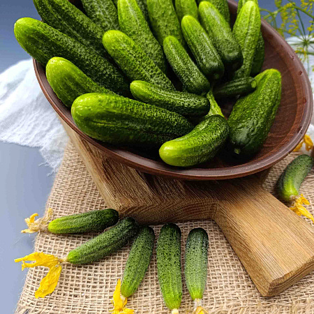 Фото Огурец Отело F1