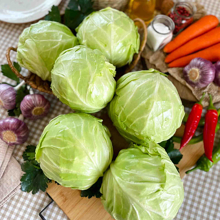 Фото Капуста белокочанная Миррор F1