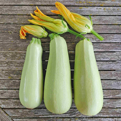 Кабачок Ариэль F1