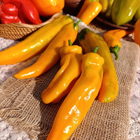 Фото Перец сладкий Орнелла F1