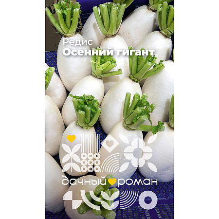 Фото Семена Редис Осенний гигант, 2 гр. Дачный роман