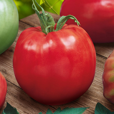 Помидор Калабрези