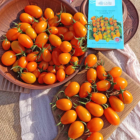 Фото Помидор черри Ваниль F1