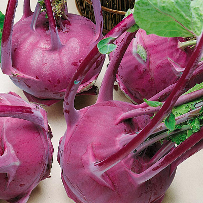 Капуста кольраби Укза F1 12шт