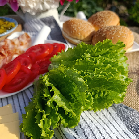 Фото Салат Кучерявец Одесский