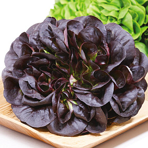 Салат Гоген 5шт