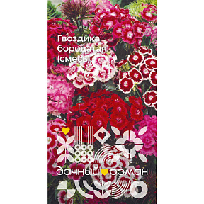 Семена Гвоздика бородатая (смесь), 0,2 гр. "Дачный роман"