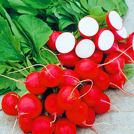 Фото Редис Каспар F1