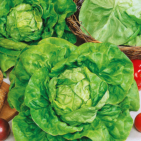 Фото Салат Аттракцион