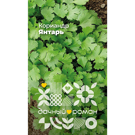 Фото Семена Кориандр Янтарь, 1 гр. Дачный роман
