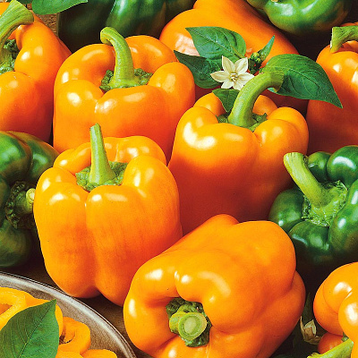 Перец сладкий Оранжевое чудо F1