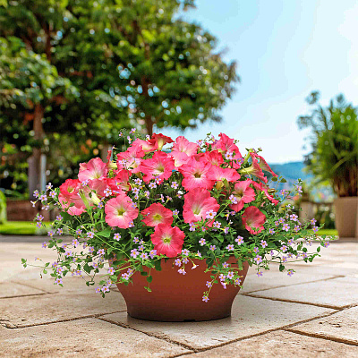 Цветной набор Голубой рассвет