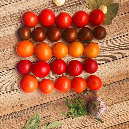 Фото Набор Помидоров для консервирования