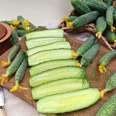 Фото Огурец Гилрой F1