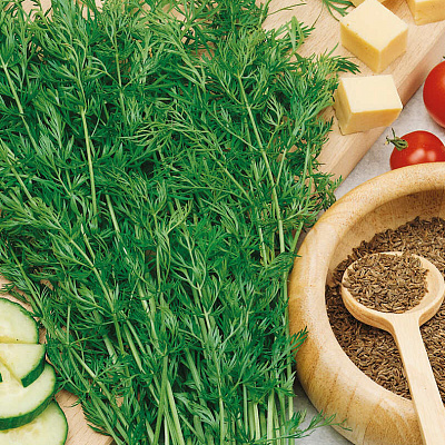 Тмин Золотая россыпь