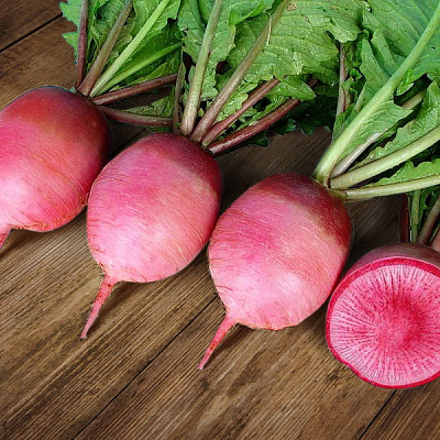 Дайкон Магнет F1