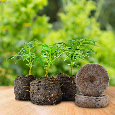 Комплект торфяных таблеток