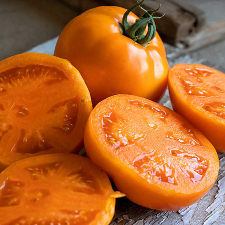 Фото Помидор Бабье лето F1