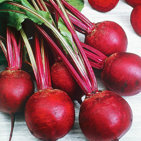 Фото Свёкла Кестрел F1 1гр