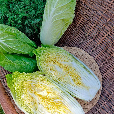 Капуста пекинская Юки F1