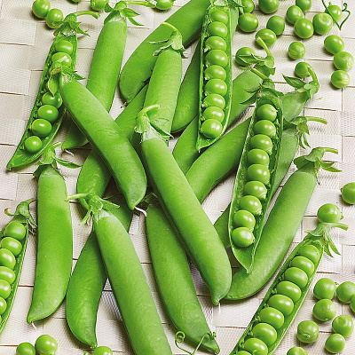 Горох Чемпион