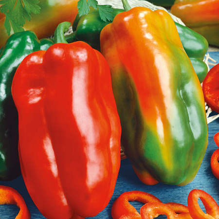 Фото Перец сладкий Лидер F1