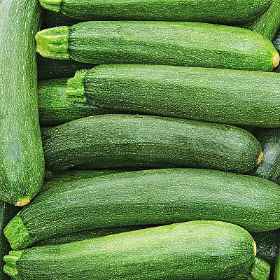 Кабачок Беркут