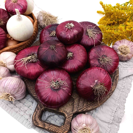 Фото Лук репчатый Ялтинский