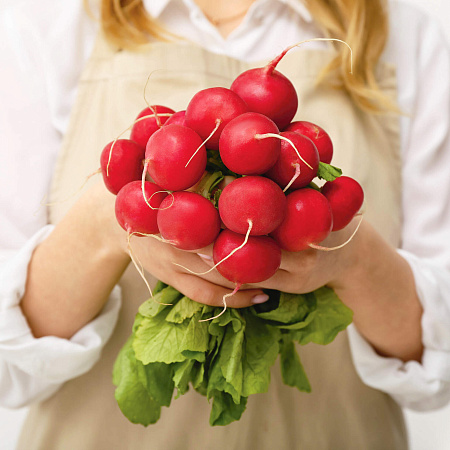 Фото Редис Атолл F1 1гр