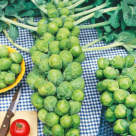 Фото Капуста брюссельская Бриллиант F1