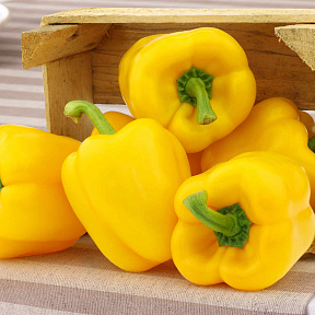 Перец сладкий Абей F1 5шт