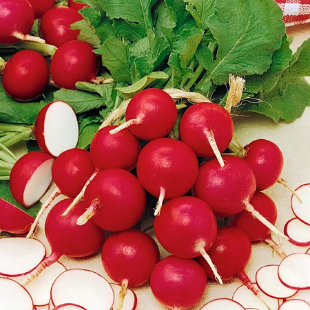 Фото Редис Рокстар F1