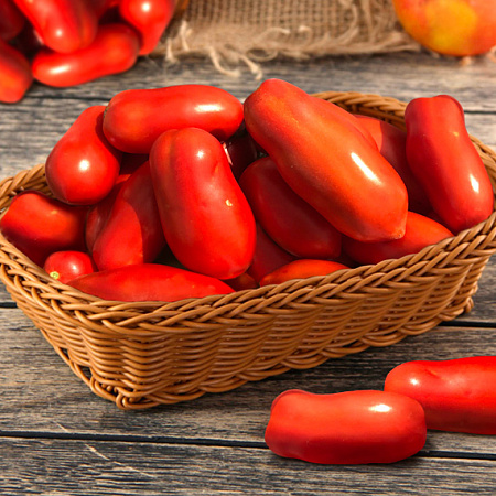 Фото Помидор черри Уникум F1