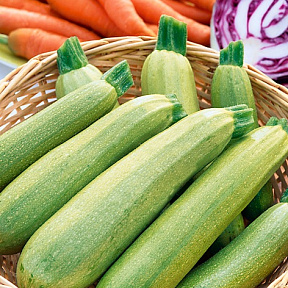 Кабачок Отто F1