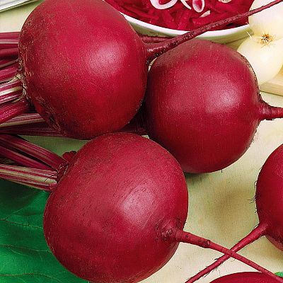 Свёкла Болтарди