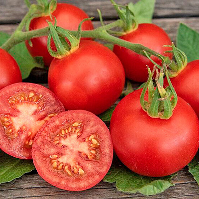 Помидор Харцфойер F1