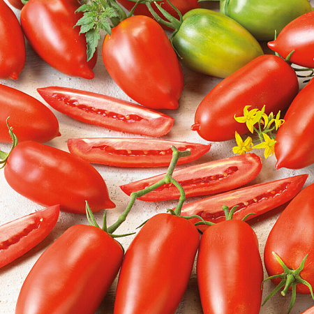 Фото Помидор Джек пот