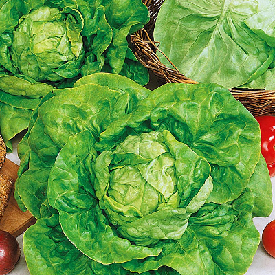 Салат Аттракцион