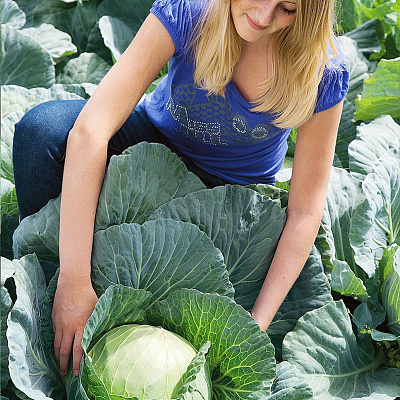 Капуста белокочанная Миррор F1 16шт