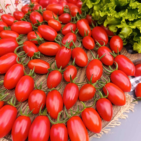 Фото Помидор черри Уникум F1