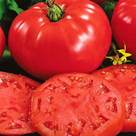 Фото Помидор Особые F1