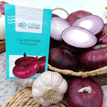 Фото Лук репчатый Ялтинский