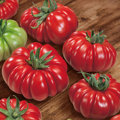 Помидор Риккиуто F1