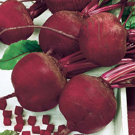 Фото Свёкла Зарница F1