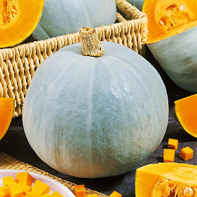 Тыква Крошка F1