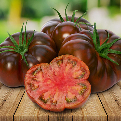 Помидор Браун Кой F1