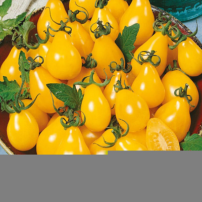 Помидор Грушенька F1